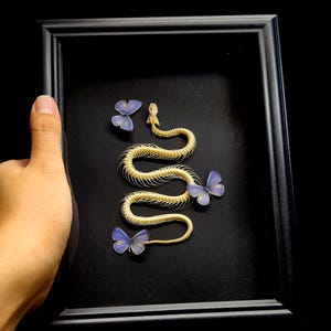 Könnte beinhalten: Ein schwarzer rechteckiger Rahmen mit einem cremefarbenen Schlangenskelett, das in einer geschwungenen S-Form angeordnet ist. Drei kleine, zarte Schmetterlinge mit irisierenden violetten und blauen Flügeln sind um das Skelett auf schwarzem Grund platziert.