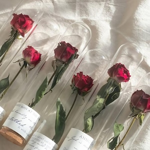 Può includere: Sei provette in vetro trasparente, ciascuna contenente una singola rosa rossa essiccata con foglie verdi. Ogni provetta è sigillata con un tappo di sughero e presenta un'etichetta di carta bianca con testo corsivo nero sulla base.