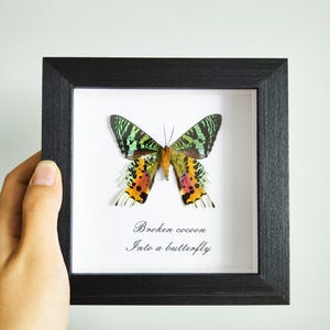 H. Matsumoto リトグラフ「Butterfly」 81XHjNx+2DL.jpg_BO30,255,255,