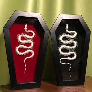 Echtes Schlangen-Skelett in 10-Zoll-schwarzem sargförmigem Rahmen, Schattenbox des Schlangen-Skeletts, dunkles gotisches Geschenk, auf Bestellung gefertigt, ethisch hergestellt