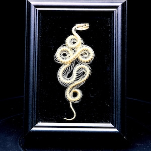 May include: A cream-colored snake skeleton arranged in a coiled, S-shaped pattern, mounted against a black velvet background inside a rectangular black frame. The delicate, articulated vertebrae and ribs are clearly visible.