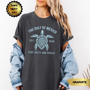 Comfort Colors Gulf of Mexico Stay Salty Resistance Shirt, Anti Trump Shirt, Democrat Gift Shirt, Resist Shirt, Democrat Shirt