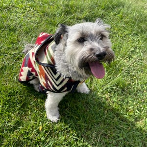 Dog Sweater, Handmade dog sweater, Boho dog sweater, Cute dog clothes, Pattern sweater for dog