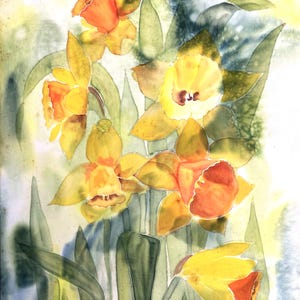 May include: Watercolour painting of daffodils in full bloom. The flowers are mainly yellow with orange accents in the trumpet-shaped centres. Green leaves and stems surround the flowers against a soft, blended background.
