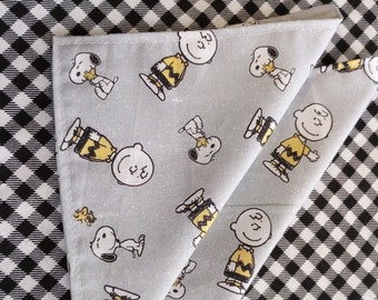 Charlie Brown  hankies set of 2 pocket squares