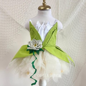 The Frog Princess Costume, Princess Birthday Party Themed, Frog and Princess Dress