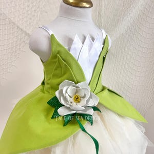 The Frog and Princess Dress, Princess Tiana Dress for Girl, Princess Birthday Party Themed