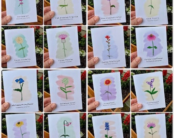 Wildflower Notecard Set- 16 different designs