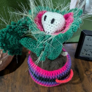 May include: Crocheted plant with a white skull-shaped head, pink and green accents, and a multi-colored pot. The plant has green leaves and white, spiky fibers. The pot is striped with pink, purple, black, and orange.