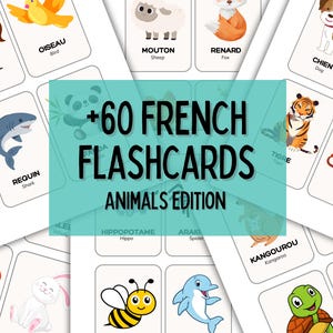 60+ French Animal Flashcards | Learn Animals in French | Printable Vocabulary Cards for Kids
