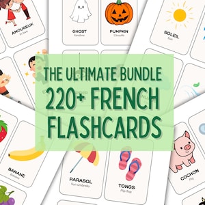 Ultimate Bundle 220+ French Flashcards | Summer, Weather, Animals, Colors & More | Printable French Vocabulary for Kids