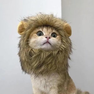 Cat And Dog Wig, Lion Headgear, Pet Clothes, Pet Accessory, Dress Up Pet, Cat Outfit, Dog Outfit, Halloween And Christmas Costume