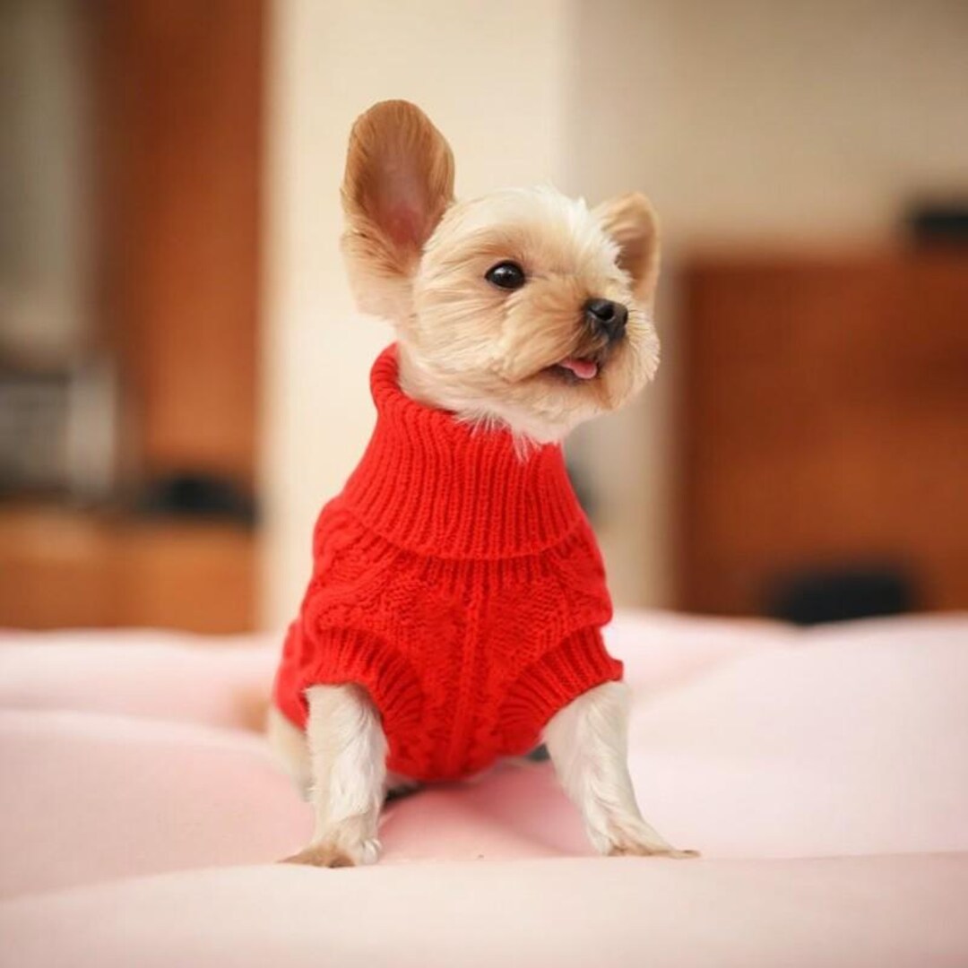 Warm Doggie Sweater main image 0