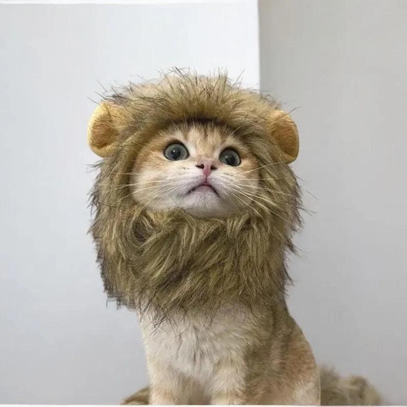 Lion outfit for cat discount
