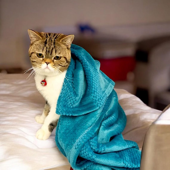 Cat Blanket, Pet Blanket, Cozy Cat Blanket, Soft Fleece Blanket