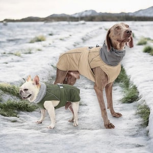 Dog Winter Coat, Waterproof Dog Jacket, Reflective Dog Coat, Warm Dog Clothes,  Cold Weather Dog Gear