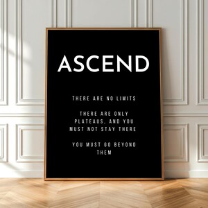 May include: A framed black and white print with the word "ASCEND" at the top. Below, the text reads: "THERE ARE NO LIMITS. THERE ARE ONLY PLATEAUS, AND YOU MUST NOT STAY THERE. YOU MUST GO BEYOND THEM."