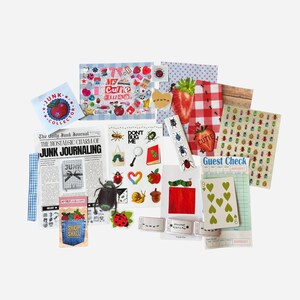 Kit Diário de Insetos, folha de adesivos de vinil 4x6, adesivo grande, fita, adesivos holográficos, adesivos de laço e coração, carta de baralho e muito mais
