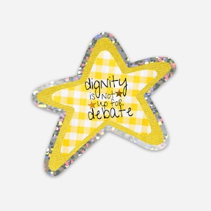 May include: A star-shaped sticker with a yellow gingham pattern center and a yellow border. The sticker has the text "dignity is not up for debate" in black script. The outer edge is silver with iridescent glitter.
