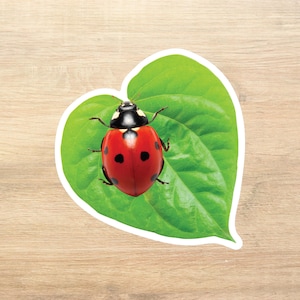 Ladybug Sticker, Journal Stickers, Junk Journal Sticker, Vinyl Sticker, Journal Cover Sticker, Journal Girl, Bug Sticker
