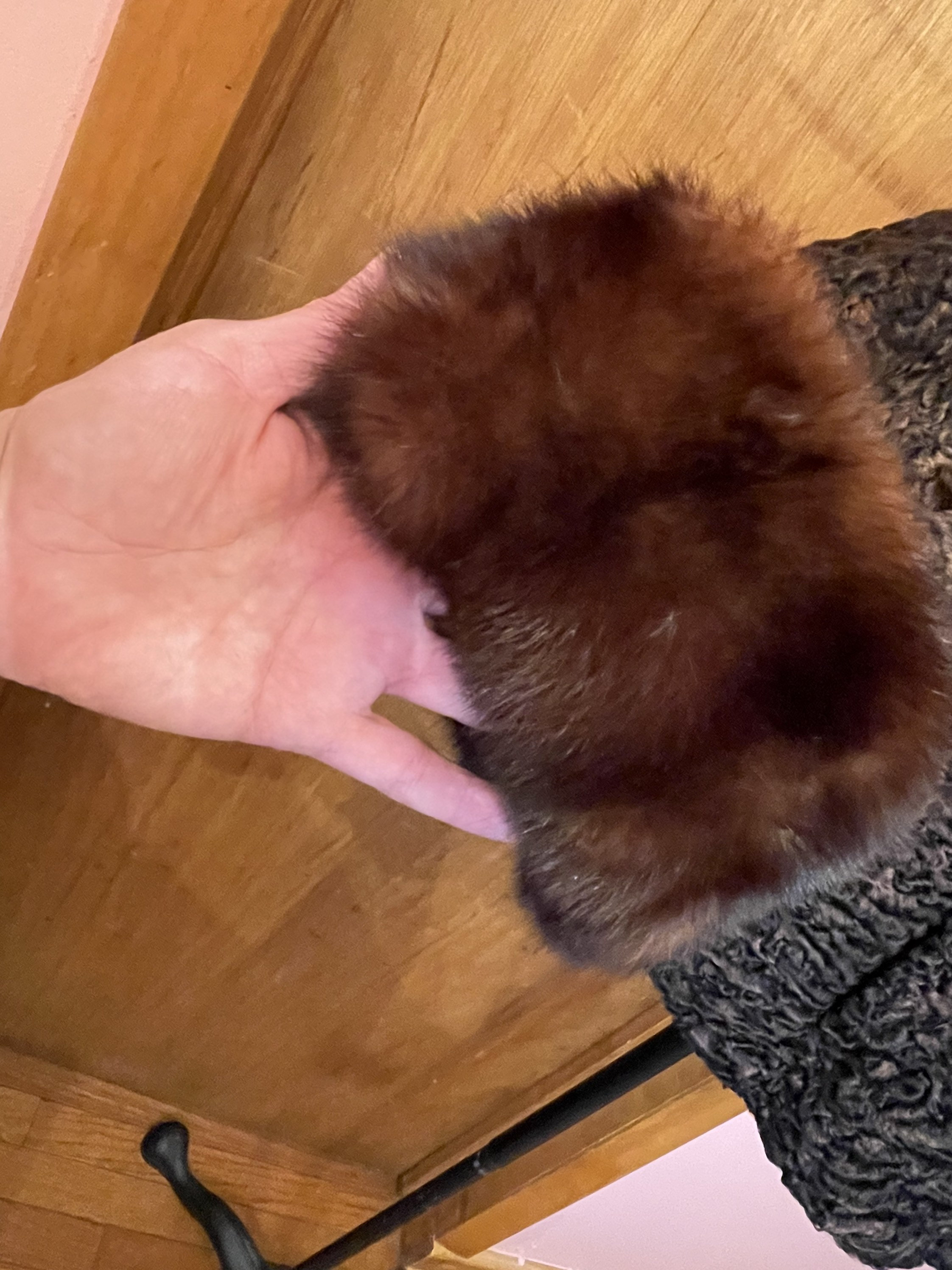 Vintage Brown and Black Curly Persian Lamb Fur Coat With Vintage Brown and Black Curly Persian Lamb Fur Coat With