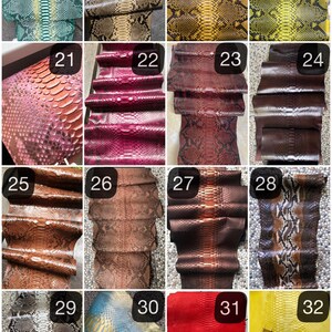 May include: A selection of reptile skin samples in a variety of colours and patterns. The samples include shades of green, brown, yellow, red, and pink. The image is numbered 17 to 32.