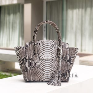 May include: A grey and white snakeskin-patterned handbag. It features a structured design, a top handle, and a tassel. The brand name "DE ARIA" is displayed on the front of the bag. The bag is suitable for everyday use.