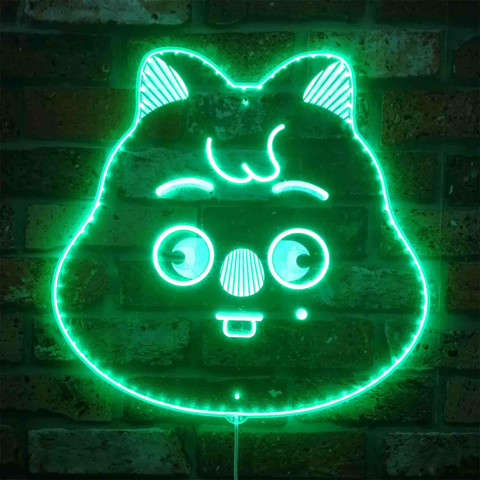 Stray Kids SKZOO ライト LAMP フォクシニー アイエン Stray Kids SKZOO ライト LAMP フォクシニー アイエン Stray Kids