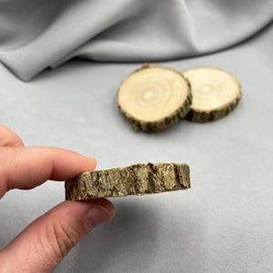 Pine Wood Slices for Crafts, Natural Unfinished Tree Rounds with Bark, Rustic Circles DIY Projects, Small Wedding Decor, Slice for Decoupage