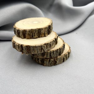 Natural Wood Slices for Crafts, Slice for Decoupage, Small Wedding Decor, DIY Projects, Rustic Disks Slices, Mini Coasters, Rounds with Bark