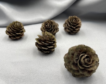 Mini piñas naturales, juego de 5, para jardín de hadas, decoración de terrarios y manualidades.