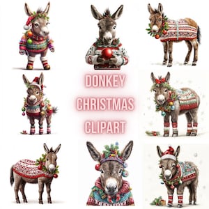 Weihnachten Esel Clipart PNG, 13 Weihnachten Esel PNG, Weihnachten Baby Esel Illustration, Urlaub Clipart