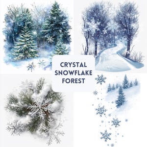 Op de afbeelding: Een verzameling winterse aquarel illustraties. De afbeeldingen tonen besneeuwde bossen, een met sneeuw bedekt pad en close-ups van sneeuwvlokken en dennentakken. De tekst "CRYSTAL SNOWFLAKE FOREST" wordt weergegeven op een witte achtergrond.
