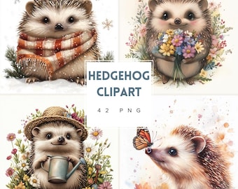 Watercolor Hedgehog Clipart – PNG Illustrations, Scrapbooking (Digital Download)