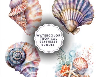 Clipart aquarel schelpen: tropische png-set (digitale download, commercieel gebruik)