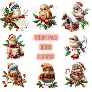 Pájaro navideño PNG, 54 pájaros navideños PNG, ilustración de pájaro bebé de Navidad, imágenes prediseñadas de vacaciones