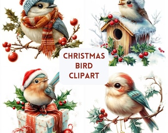 Christmas Bird Clipart: 53 PNG Illustrations (Digital Download)