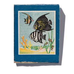Peut inclure: Une bo&icirc;te d'allumettes vintage avec un fond bleu et une illustration color&eacute;e de trois poissons nageant dans un r&eacute;cif corallien. Les poissons sont noirs, blancs et orange avec des accents jaunes. Le r&eacute;cif est compos&eacute; de corail, d'algues et d'hippocampes.