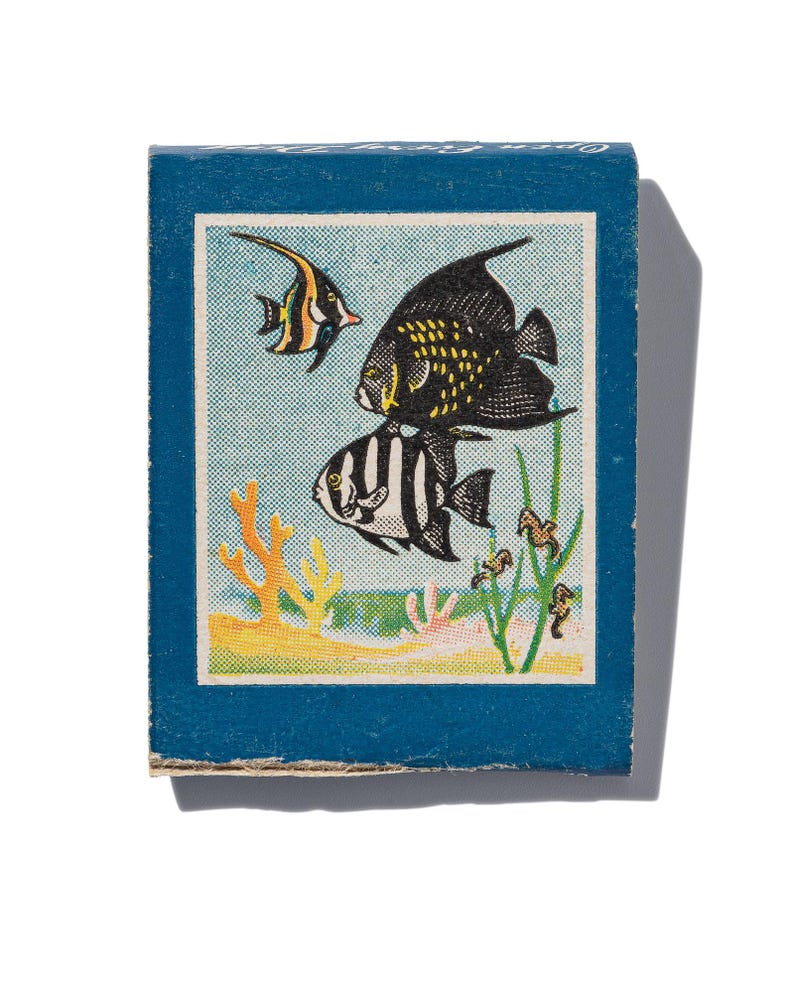 Peut inclure: Une bo&icirc;te d'allumettes vintage avec un fond bleu et une illustration color&eacute;e de trois poissons nageant dans un r&eacute;cif corallien. Les poissons sont noirs, blancs et orange avec des accents jaunes. Le r&eacute;cif est compos&eacute; de corail, d'algues et d'hippocampes.