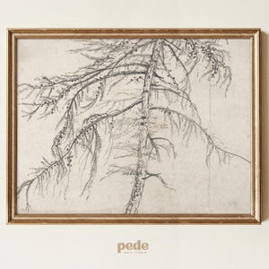May include: A framed pencil sketch of a tree with long, drooping branches. The artwork is in a gold-colored frame and features the text "pede wall studio" at the bottom. The drawing is in shades of gray and white.