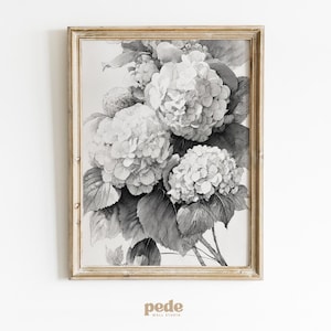 May include: A framed black and white botanical print featuring a detailed illustration of hydrangea flowers. The artwork showcases the blooms and leaves in a grayscale palette, set within a light-toned wooden frame. The print is mounted on a white background.