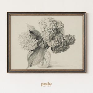 May include: Black and white framed print of a hydrangea bouquet in a clear vase. The artwork features detailed shading and a vintage aesthetic. The frame is dark with a gold inner edge. The artwork is from Pede Wall Studio.