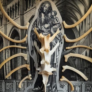 May include: A collage featuring a grayscale image of a religious figure with a child, overlaid with animal bones. The bones are arranged around the central image, creating a unique and macabre composition.