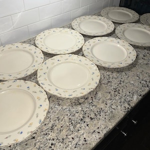 May include: A set of eight round ceramic dinner plates with a cream-colored center and a scalloped edge. The rim of each plate features a delicate floral pattern with small blue and yellow flowers and green leaves, finished with a gold trim.