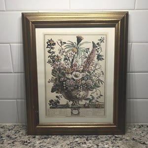 Vintage Robert Furber 10”x12” Framed December Reprint From Twelve Months of Flowers