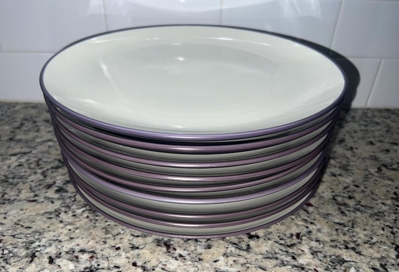 Noritake Colorwave Dinner Plates - Thumbnail 4