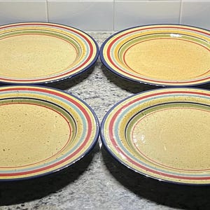 Pfaltzgraff  &quot;Sedona&quot; Hand Painted Dinner Plates - 11 3/4&quot; - Set of 9