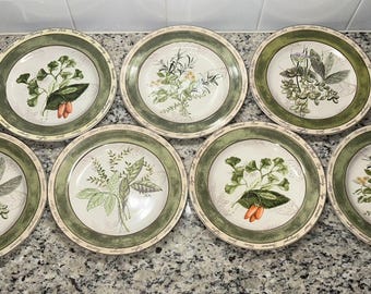 Zestaw 7 talerzy sałatkowych American Atelier Bouquet Garni 8 cali, zioła, kwiaty, zieleń