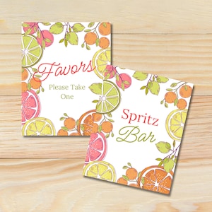 Pacote de placas para chá de panela Citrus, chá de panela Main Squeeze, placas de lembrancinhas, placas de bar para chá de panela, decoração para chá de panela, menu de bar personalizável