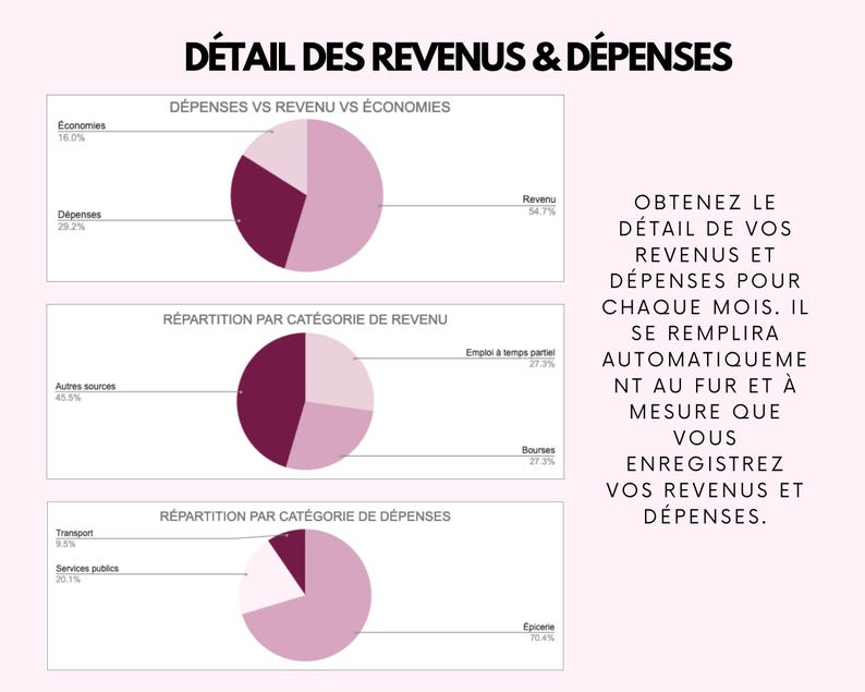 May include: A financial data visualization with pie charts illustrating expenses, revenue, and savings. The text "DETAIL DES REVENUS & D&Eacute;PENSES" is at the top. Additional text explains the charts.
